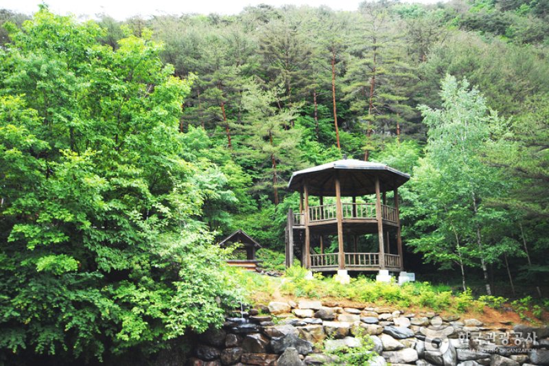 National Gariwangsan Mountain Natural Recreation Forest  (20/20)