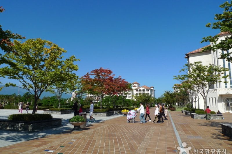 Daemyung Sol Beach Hotel &amp; Resort  (10/37)