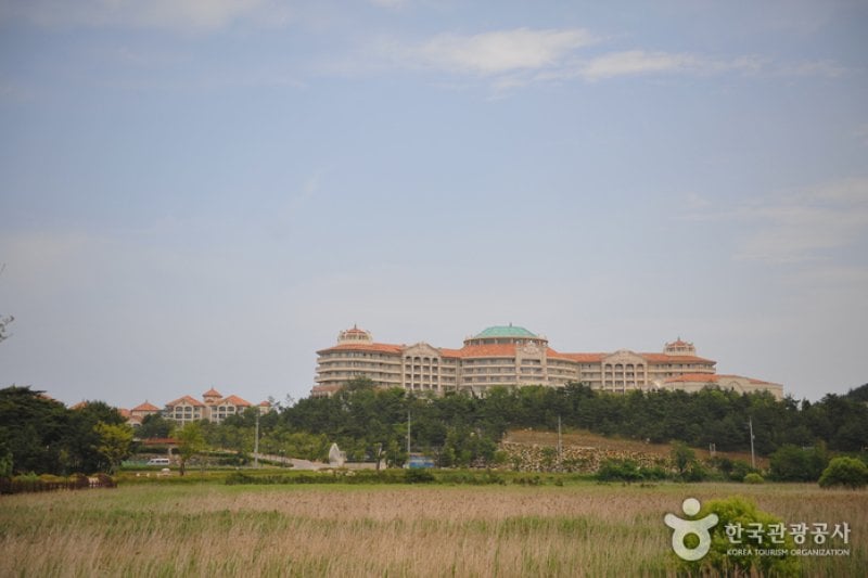 Daemyung Sol Beach Hotel &amp; Resort  (33/37)