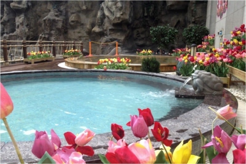Woongjin Playdoci Waterdoci  (2/35)