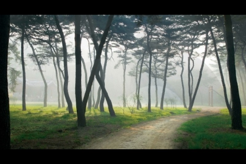 Namyangju Sareung [UNESCO World Heritage]  (1/5)