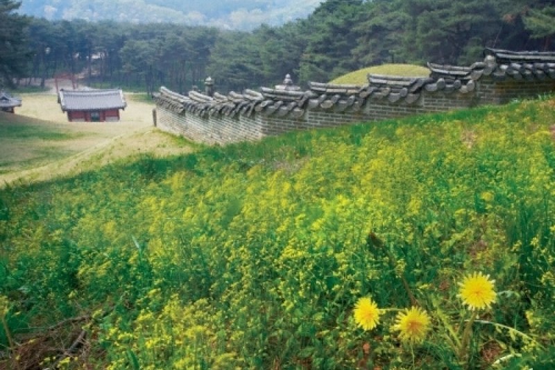 Namyangju Sareung [UNESCO World Heritage]  (4/5)