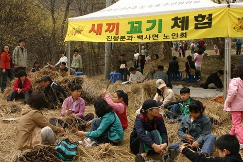 Icheon Baeksa Sansuyu Flower Festival 