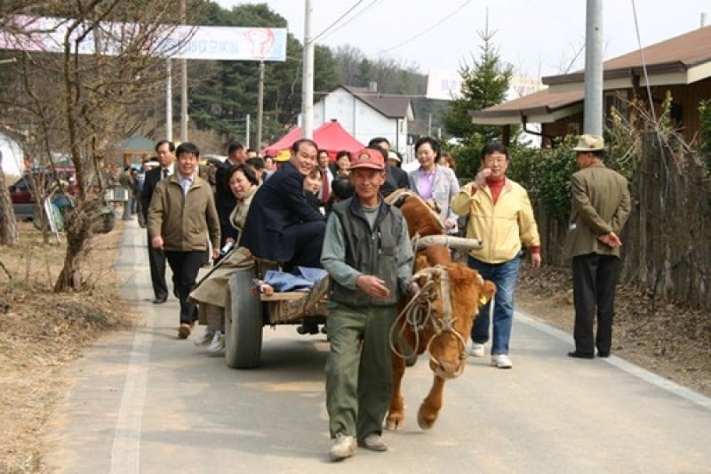 Icheon Baeksa Sansuyu Flower Festival 