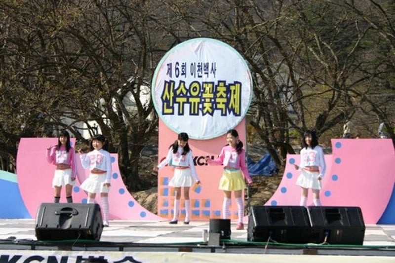 Icheon Baeksa Sansuyu Flower Festival 
