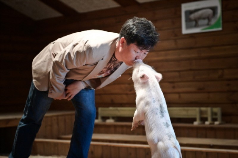Pig Museum  (1/9)