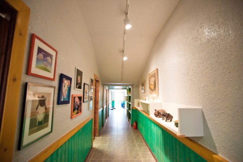 Pig Museum  (5/9)