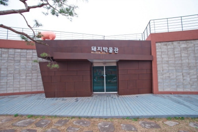 Pig Museum  (6/9)