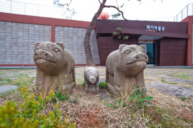 Pig Museum  (9/9)