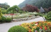 Korean Peninsula Wild Flower Exhibition of The Garden of Morning Calm 