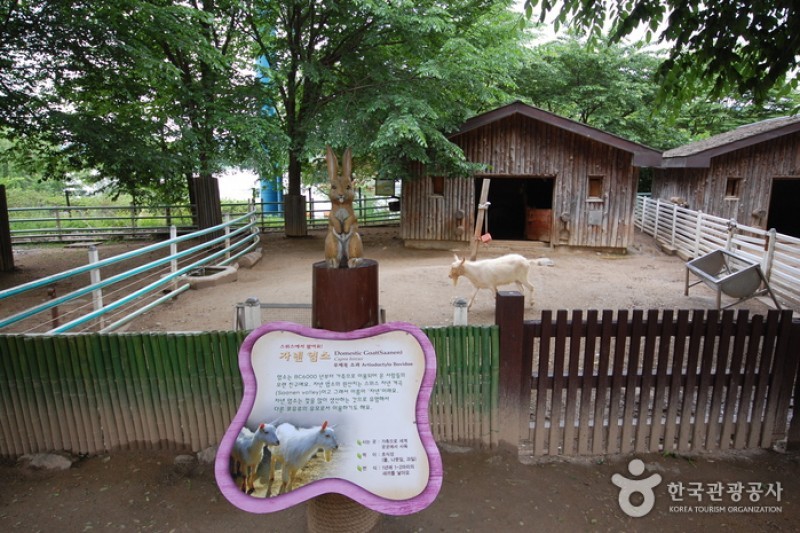 Seoul Zoo in Seoul Grand Park  (4/6)