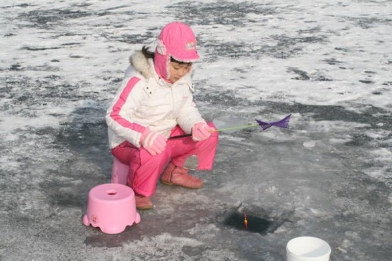Mulmalgeun Yangpyeong Icefish Festival  (4/5)