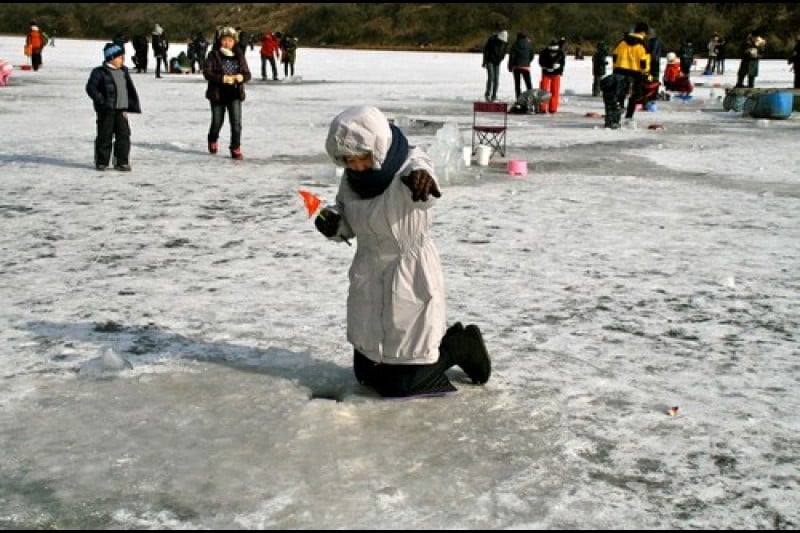 Mulmalgeun Yangpyeong Icefish Festival  (5/5)