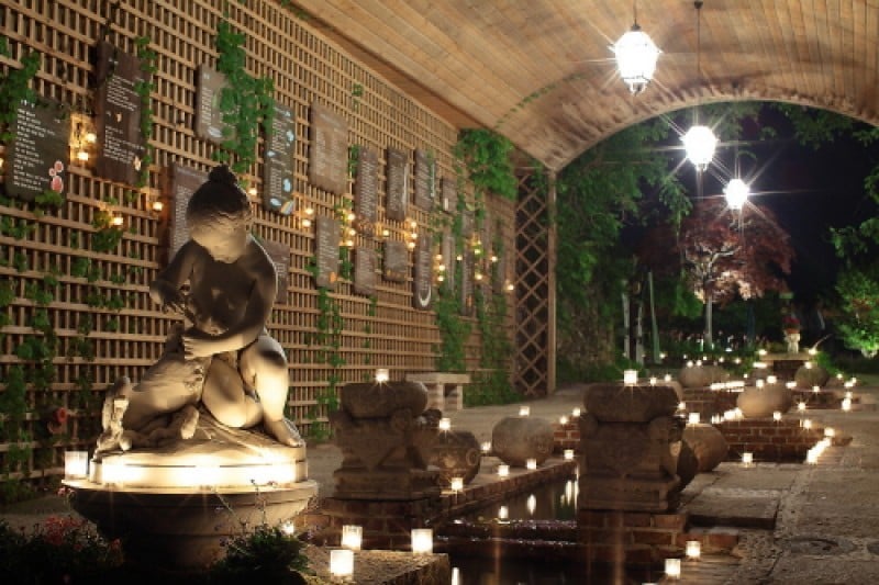 Herb Village  (3/17)