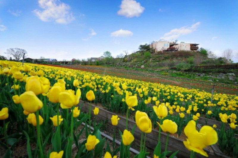 Herb Village  (4/17)