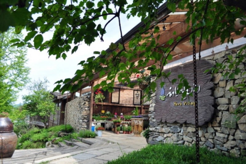 Herb Village  (8/17)
