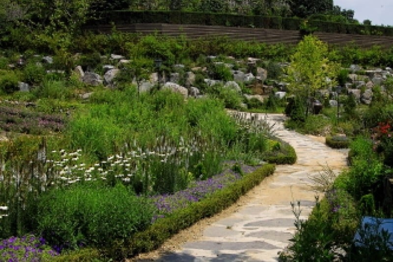 Herb Village  (9/17)
