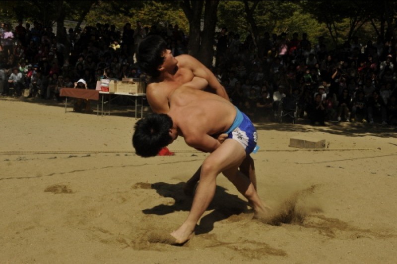 Korean Folk Village Hangawi Festival  (1/12)