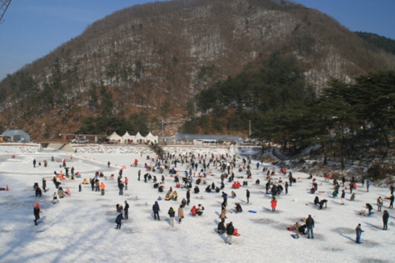 Yangpyeong Ice Festival  (2/3)