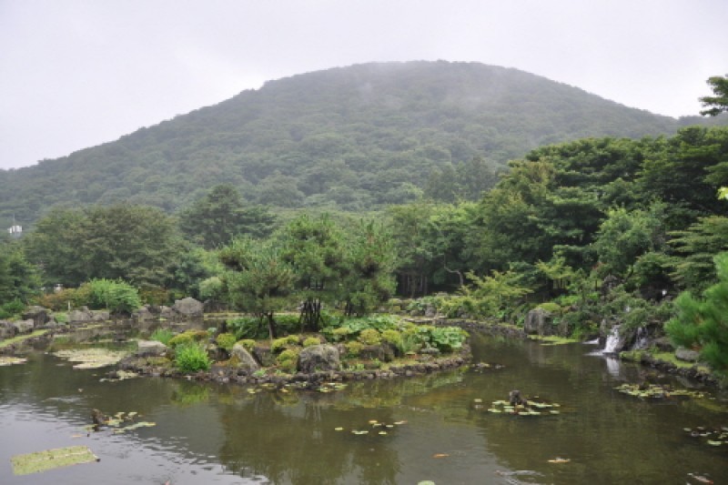 Jeju Jeolmul Recreational Forest  (1/10)