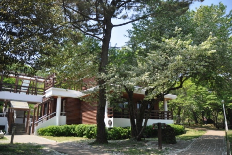Jeju Jeolmul Recreational Forest  (2/10)