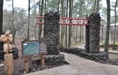 Jeju Jeolmul Recreational Forest 