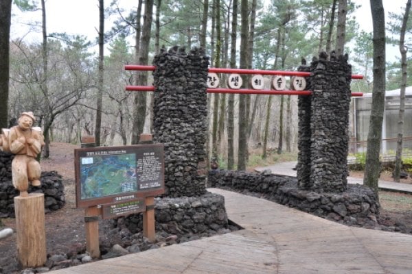 Jeju Jeolmul Recreational Forest