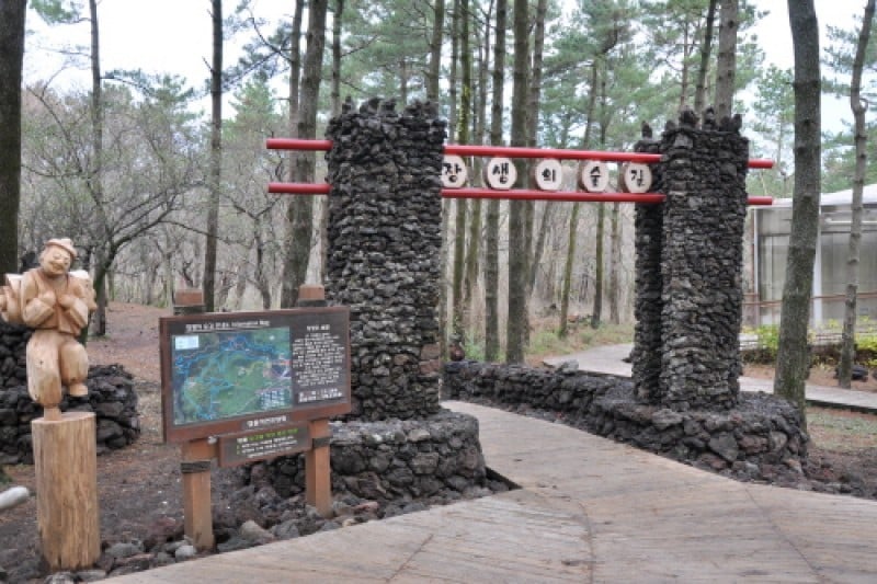 Jeju Jeolmul Recreational Forest  (3/10)