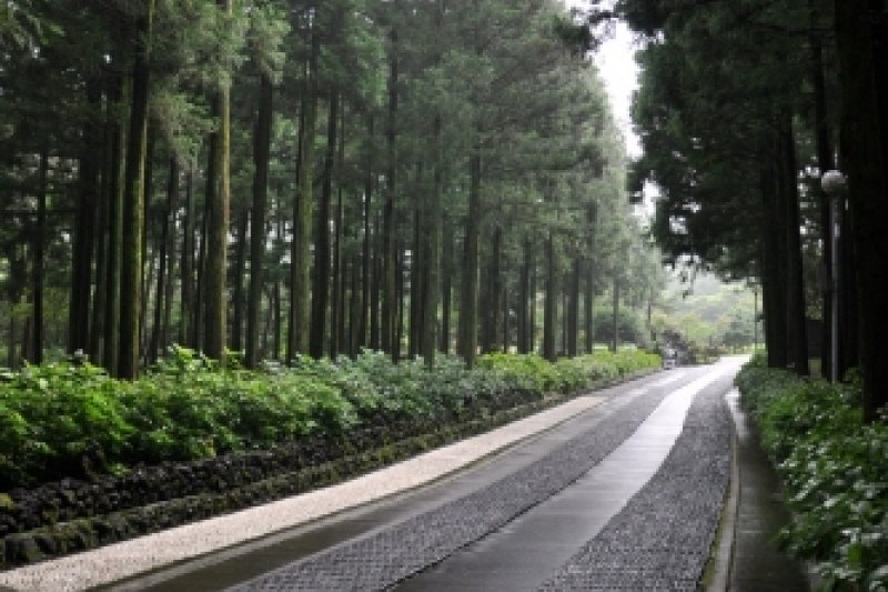 Jeju Jeolmul Recreational Forest  (4/10)