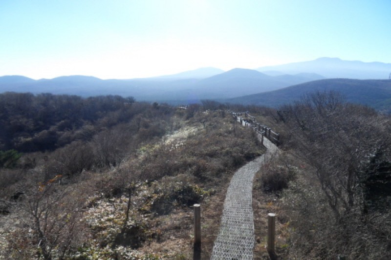 Jeju Jeolmul Recreational Forest  (6/10)