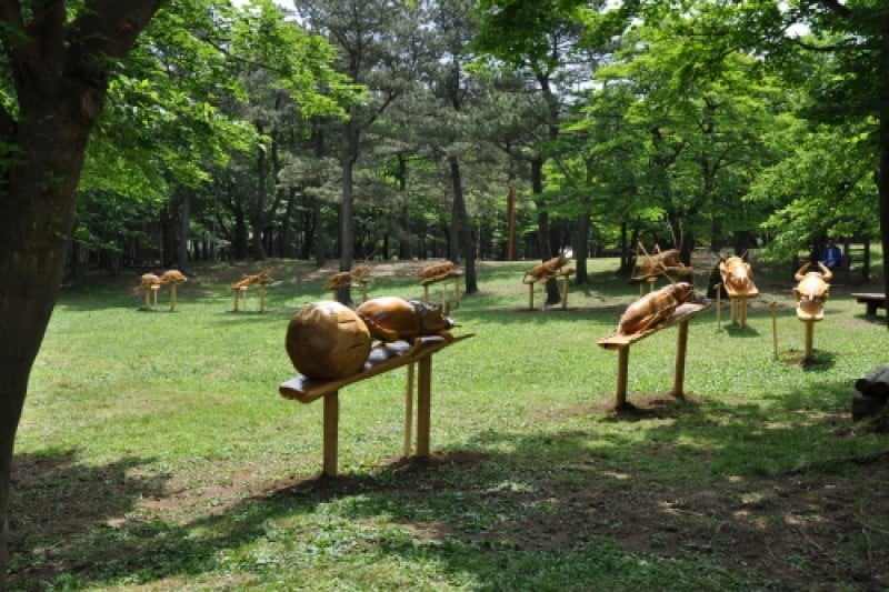 Jeju Jeolmul Recreational Forest  (7/10)