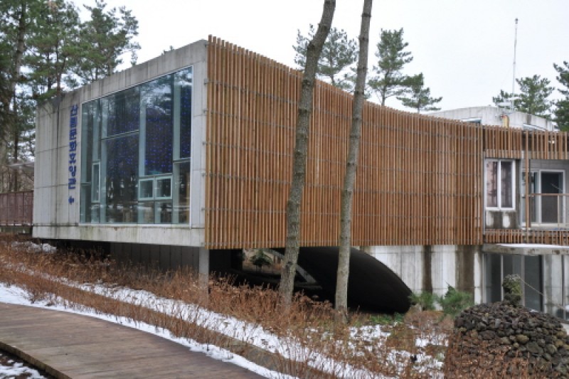 Jeju Jeolmul Recreational Forest  (9/10)