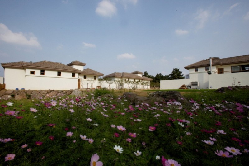 Jeju Olle Resort  (4/9)