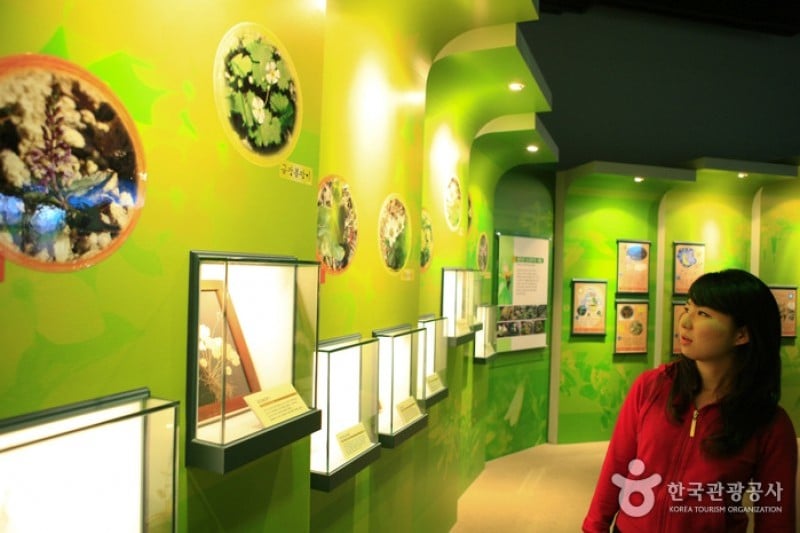 Seoraksan National Park Visitor Center  (25/25)