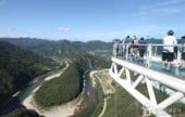 Arii Hills 