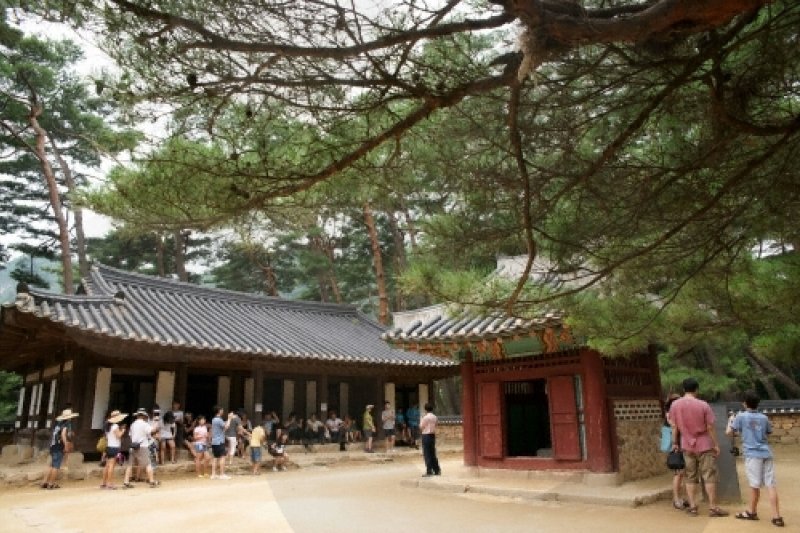Yeongwol Cheongnyeongpo Cape  (5/46)