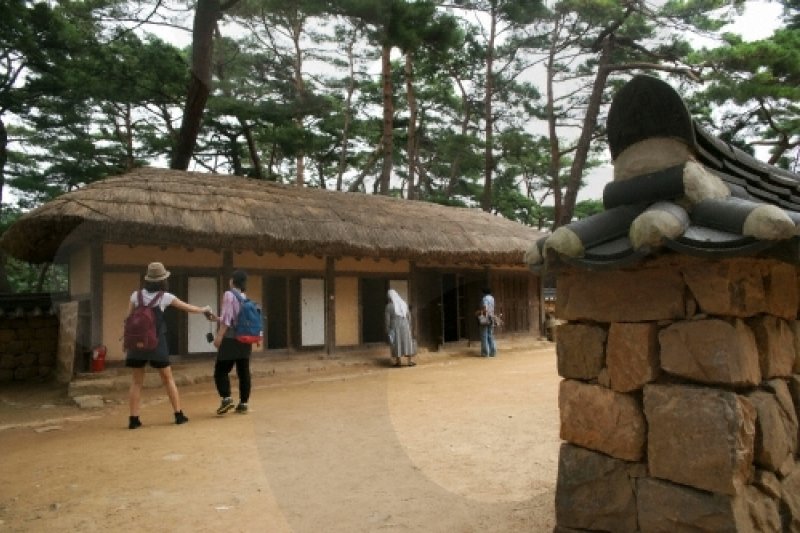 Yeongwol Cheongnyeongpo Cape  (6/46)