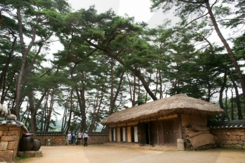 Yeongwol Cheongnyeongpo Cape  (7/46)