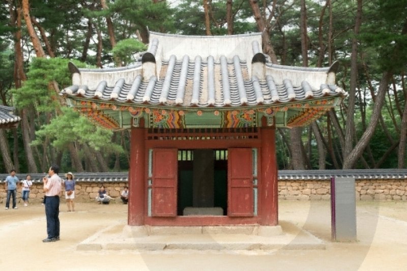 Yeongwol Cheongnyeongpo Cape  (8/46)