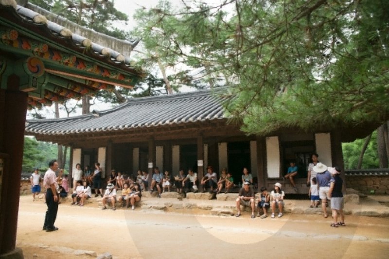 Yeongwol Cheongnyeongpo Cape  (9/46)