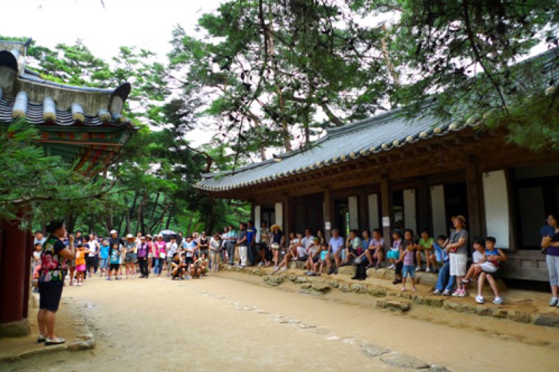 Yeongwol Cheongnyeongpo Cape  (11/46)