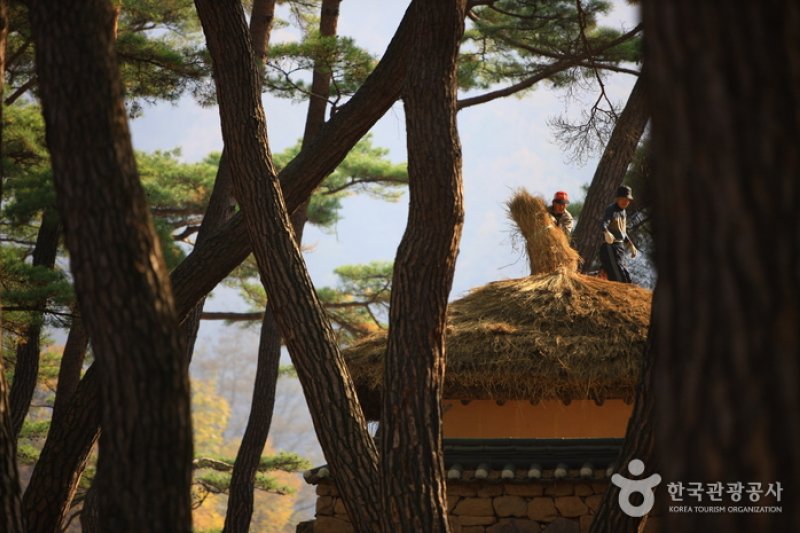 Yeongwol Cheongnyeongpo Cape  (14/46)