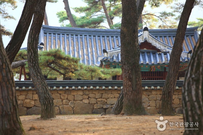 Yeongwol Cheongnyeongpo Cape  (15/46)