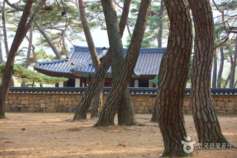 Yeongwol Cheongnyeongpo Cape  (17/46)