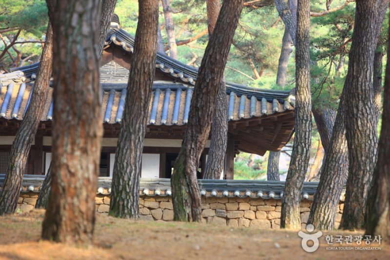 Yeongwol Cheongnyeongpo Cape  (19/46)