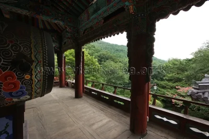 Cheoneunsa Temple(Samcheok) (천은사(삼척))