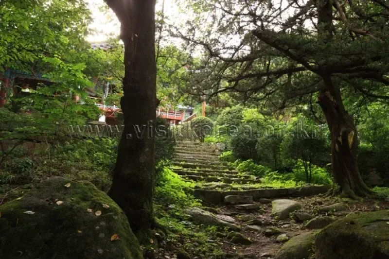 Cheoneunsa Temple(Samcheok) (천은사(삼척))