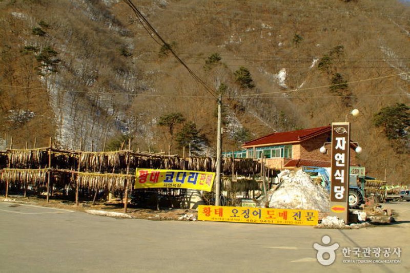 Inje Hwangtae Village (인제 황태마을) (4/12)