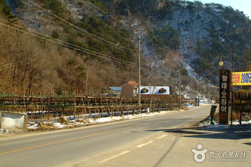 Inje Hwangtae Village (인제 황태마을) (6/12)