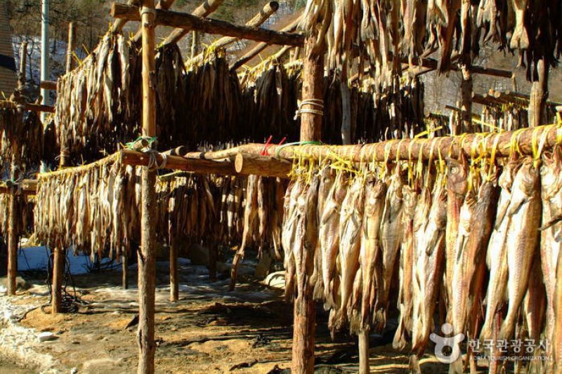 Inje Hwangtae Village (인제 황태마을) (9/12)